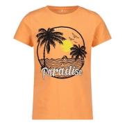NAME IT T-shirt met biologisch katoen oranje Printopdruk - 104