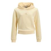 Calvin Klein hoodie met logo Sweater Beige Meisjes Katoen Capuchon Log...