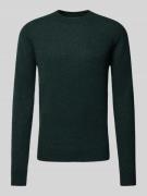 Regular fit gebreide pullover van zuivere lamswol