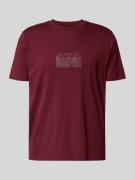 Regular fit T-shirt van katoenen jersey, model 'DELASTIO'
