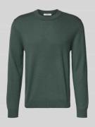Regular fit gebreide pullover van zuivere merinowol, model 'TRAY'