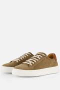 Van Lier Barossa Sneakers taupe Suede