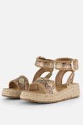 Cellini Espadrilles bruin Textiel