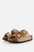 Scholl Noelle Sandalen beige Suede