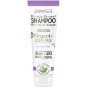 Biovène The conscious Niacinamide Repair-Protect Shampoo Hair Fal