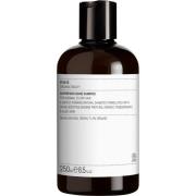 Evolve Superfood Shine Shampoo 250 ml