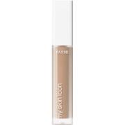 PAESE My Skin Icon Covering Concealer 02 Natural Beige