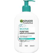 Garnier PureActive   Salicylic Purifying Gentle Cleanser For Impu