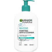 Garnier PureActive   Salicylic Purifying Gentle Cleanser For Impu