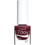 Depend 7day Holiday Selection Hot Chilly Cocoa 70141