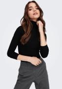 Only Colshirt ONLSILLE ROLL NECK TOP JRS