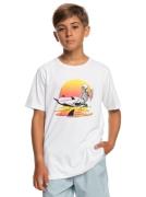 NU 20% KORTING: Quiksilver T-shirt Sunset Session