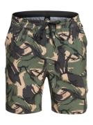 Quiksilver Functionele short Taxer Cargo 18"