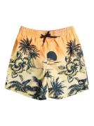 NU 20% KORTING: Quiksilver Zwemshort Everyday Paradise 14"