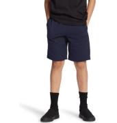 NU 20% KORTING: DC Shoes Trainingsshort Riot