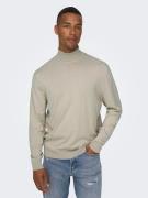 ONLY & SONS Coltrui ONSWYLER LIFE REG ROLL NECK KNIT NOOS