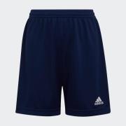 adidas Performance Trainingsshort ENT22 SHO Y (1-delig)