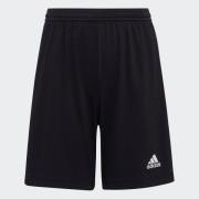 NU 20% KORTING: adidas Performance Trainingsshort ENT22 SHO Y (1-delig...