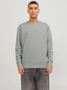 Jack & Jones Sweatshirt JJESTAR BASIC SWEAT CREW NECK NOOS