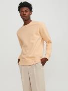 Jack & Jones Sweatshirt JJESTAR BASIC SWEAT CREW NECK NOOS