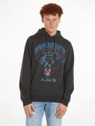 TOMMY JEANS Hoodie TJM REG PANTHER VINTAGE HOODIE