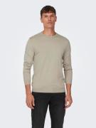 ONLY & SONS Trui met ronde hals ONSWYLER LIFE REG 14 LS CREW KNIT NOOS