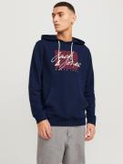 Jack & Jones Hoodie JJZURI SWEAT HOOD LN