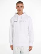 TOMMY JEANS Hoodie TJM REG LINEAR LOGO HOODIE EXT