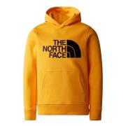 The North Face Hoodie DREW PEAK P/O HOODIE - KIDS