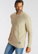 H.I.S Gebreide trui in bijzondere tricot-look