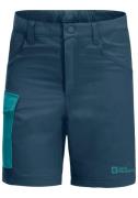 NU 20% KORTING: Jack Wolfskin Cargoshort ACTIVE SHORTS K