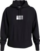 Calvin Klein Hoodie INSTITUTIONAL BOX HOODIE met calvin klein merklogo...