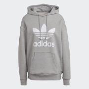 adidas Originals Hoodie ADIDAS ADICOLOR TREFOIL HOODIE (1-delig)