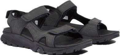 Timberland Sandalen Lincoln Peak 2 STRAP SANDAL