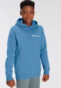 Champion Hoodie HOODED sweatshirt