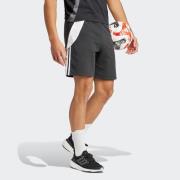 adidas Performance Trainingsshort TIRO24 SWSHO (1-delig)