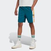 NU 20% KORTING: adidas Originals Short ADIBREAK SHO (1-delig)