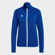 adidas Performance Trainingsjack ENT22 TK JKTW