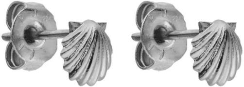 Purelei Paar oorstekers Sieraad cadeau Shell schelp oorbellen, 22391