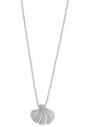 NU 20% KORTING: Firetti Ketting met hanger Sieraad Geschenk, Schelp me...