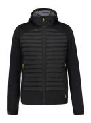 Icepeak Softshell-jack H HYBRIDE SOFTSHELLJAS DEEPSTEP