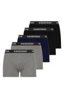 NU 20% KORTING: Chiemsee Boxershort met elastische logoband (set, 5 st...