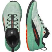 NU 20% KORTING: Salomon Runningschoenen SENSE RIDE 5