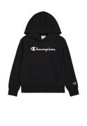 Champion Hoodie HOODED sweatshirt