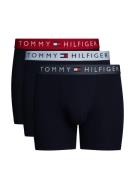 Tommy Hilfiger Underwear Boxershort 3P BOXER BRIEF WB (Set van 3)