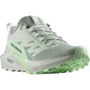 NU 20% KORTING: Salomon Trailrunningschoenen SENSE RIDE 5 Trailrunning...