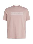 NU 20% KORTING: Calvin Klein T-shirt BT-BOX STRIPED LOGO T-SHIRT