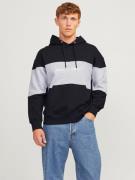 Jack & Jones Hoodie JJELEGACY BLOCKING SWEAT HOOD NOOS