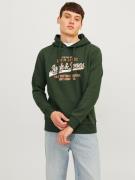 Jack & Jones Hoodie JJELOGO SWEAT HOOD 2 COL 24/25 NOOS