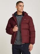 TOMMY JEANS Gewatteerde jas TJM ESSENTIAL DOWN JACKET EXT